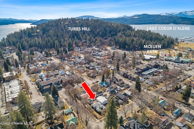 birds eye view of property featuring a water and mountain view