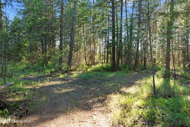 468 Cardinal Ln, Spirit Lake, ID 83869 - photo 42