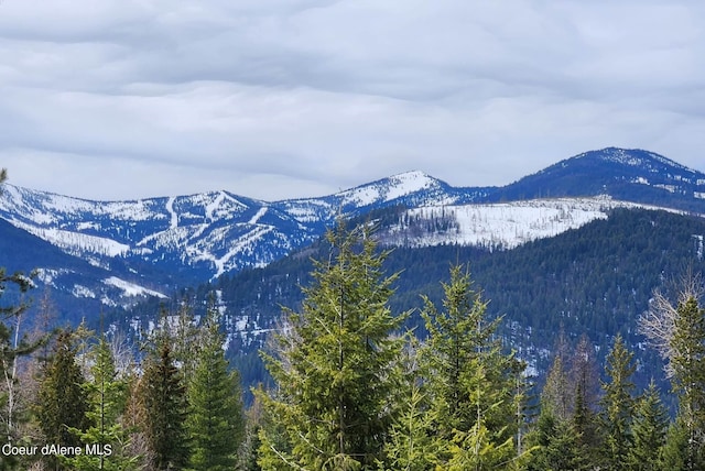 mountain view with a wooded view