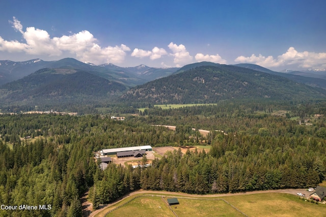 view of mountain feature with a wooded view