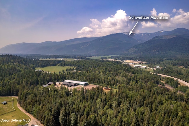 view of mountain feature featuring a view of trees