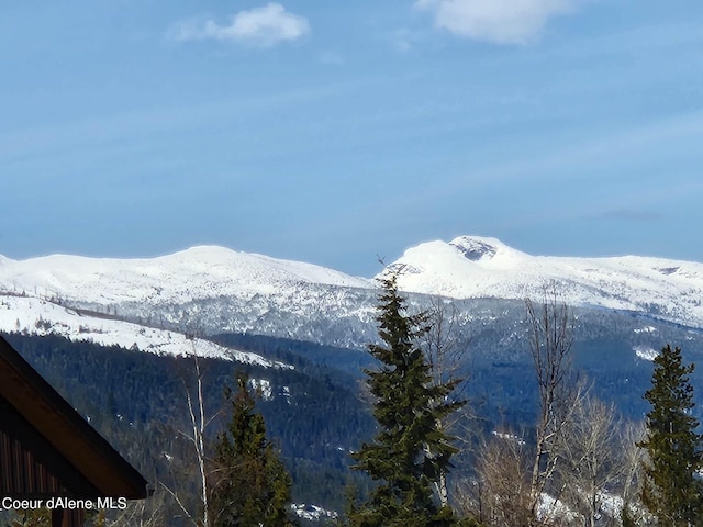 view of mountain feature