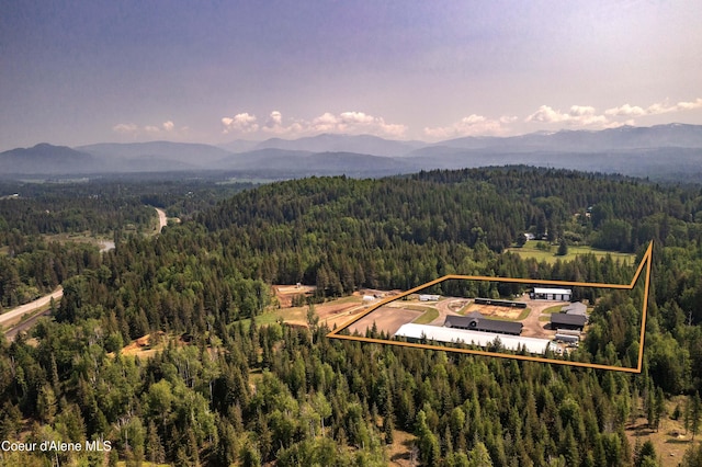 drone / aerial view featuring a mountain view and a view of trees