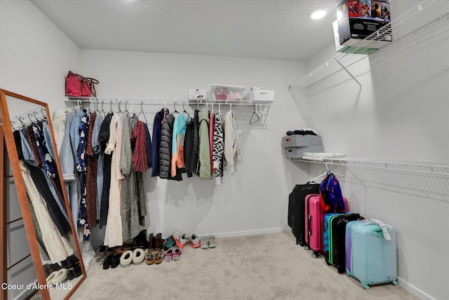 walk in closet with carpet floors