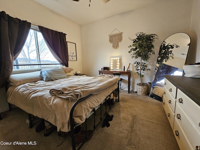 4346 N Brookie Dr, Post Falls, ID 83854 - view of carpeted bedroom