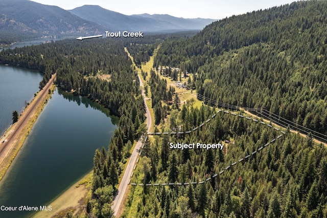 292 Marten Creek Rd, Trout Creek, MT 59874