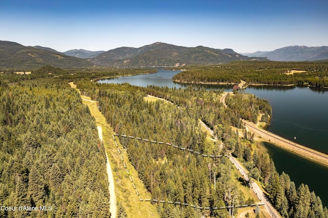 292 Marten Creek Rd, Trout Creek, MT 59874