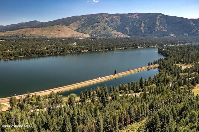 292 Marten Creek Rd, Trout Creek, MT 59874