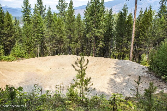 292 Marten Creek Rd, Trout Creek, MT 59874