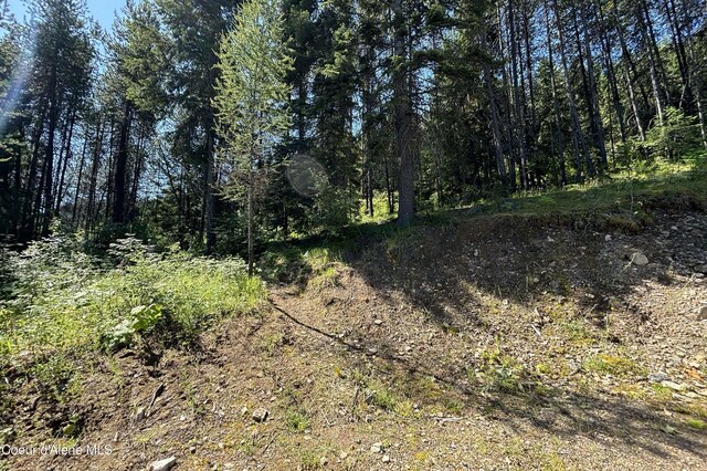 292 Marten Creek Rd, Trout Creek, MT 59874