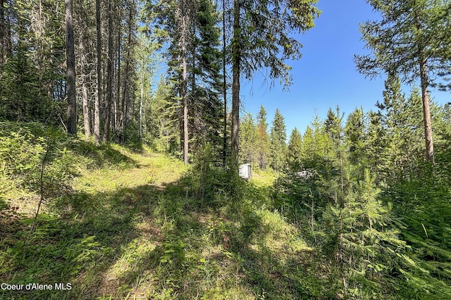292 Marten Creek Rd, Trout Creek, MT 59874