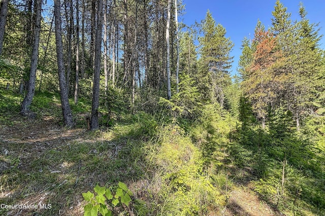 292 Marten Creek Rd, Trout Creek, MT 59874