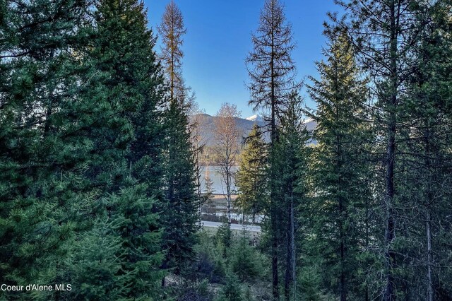 292 Marten Creek Rd, Trout Creek, MT 59874