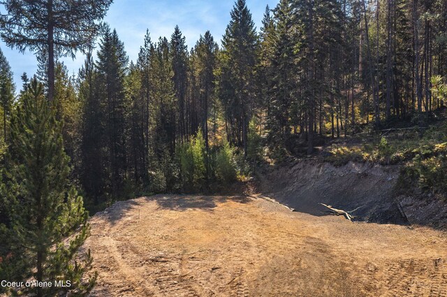 292 Marten Creek Rd, Trout Creek, MT 59874