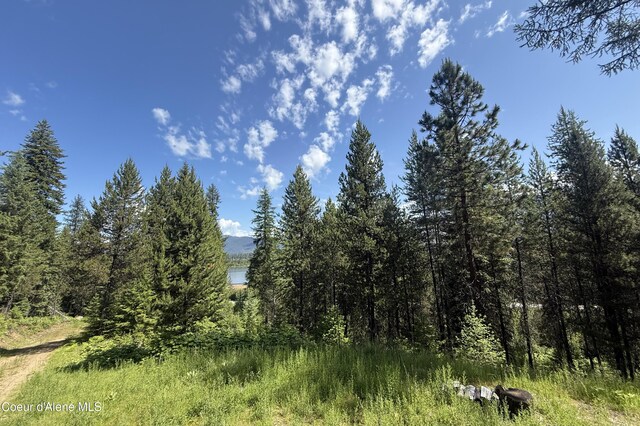 292 Marten Creek Rd, Trout Creek, MT 59874