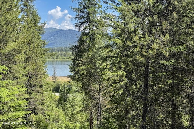 292 Marten Creek Rd, Trout Creek, MT 59874