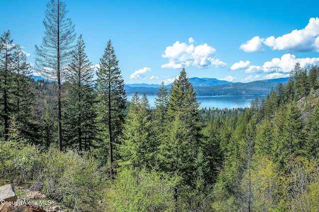 mountain view with a view of trees and a water view