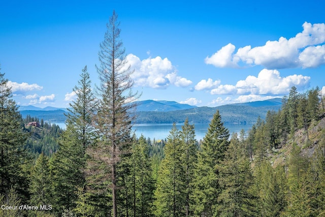 view of mountain feature featuring a water view and a wooded view