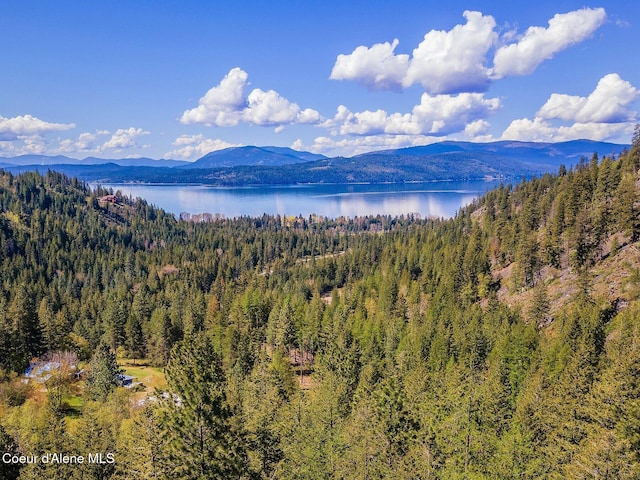 view of mountain feature featuring a view of trees and a water view