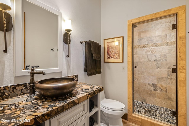 bathroom with vanity, toilet, and a stall shower