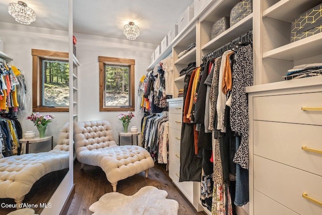 spacious closet with wood finished floors