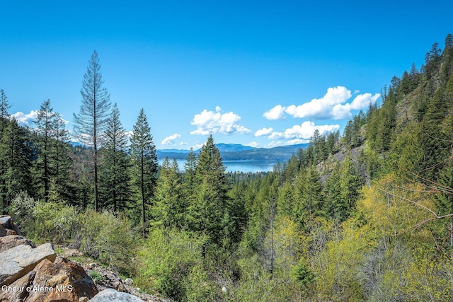 mountain view featuring a view of trees and a water view