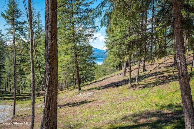 view of yard with a wooded view