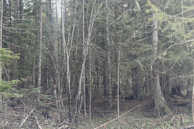 366 Widgren Way, Clark Fork, ID 83811