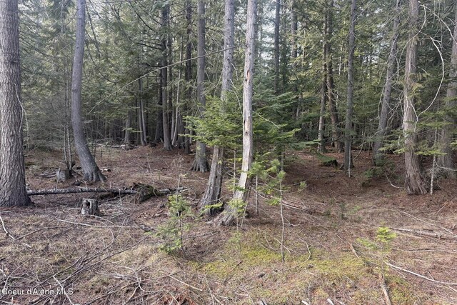 366 Widgren Way, Clark Fork, ID 83811
