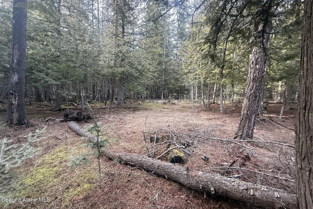 366 Widgren Way, Clark Fork, ID 83811