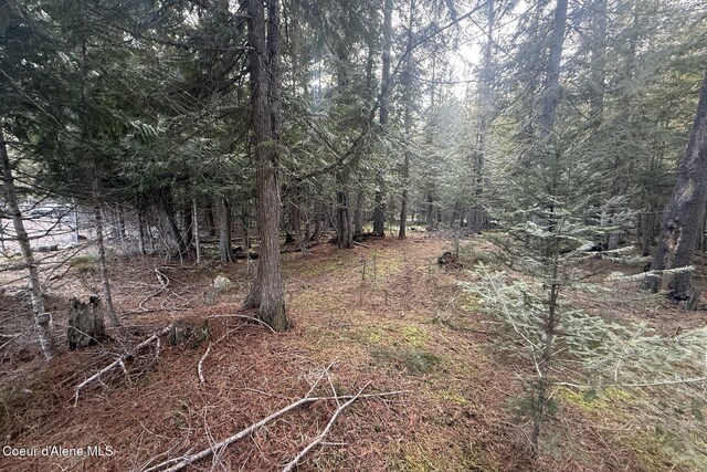 366 Widgren Way, Clark Fork, ID 83811