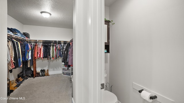 spacious closet with carpet