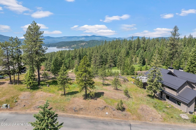 5895 S Grainger Ct, Harrison, ID 83833