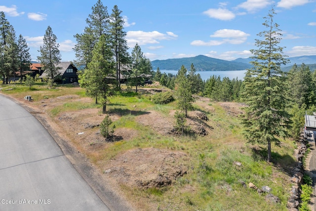 5895 S Grainger Ct, Harrison, ID 83833