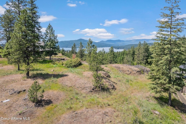5895 S Grainger Ct, Harrison, ID 83833