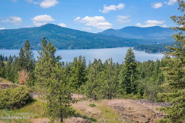 5895 S Grainger Ct, Harrison, ID 83833