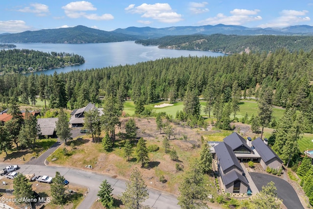 5895 S Grainger Ct, Harrison, ID 83833