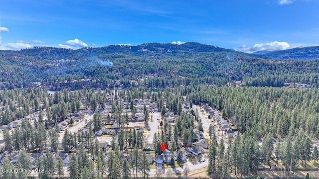 bird's eye view featuring a mountain view and a wooded view