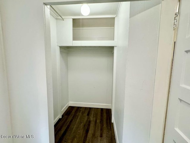 spacious closet featuring wood finished floors