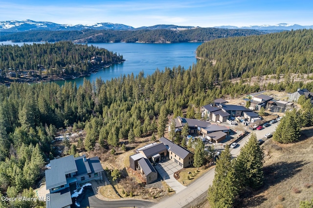 birds eye view of property with a wooded view and a water and mountain view