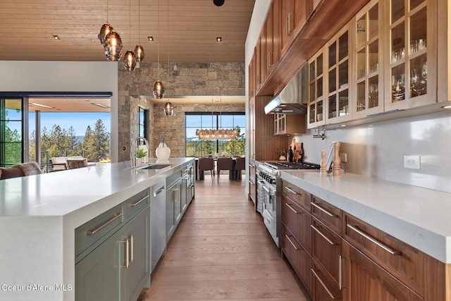 kitchen with a sink, appliances with stainless steel finishes, a healthy amount of sunlight, and light countertops