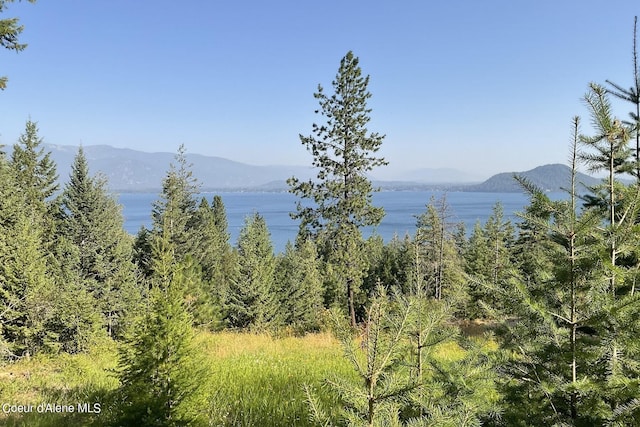 NNA Big Pine Drive, Sagle ID, 83860 land for sale