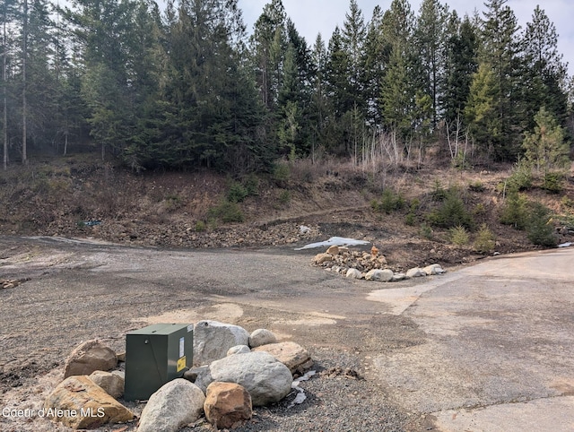 Flying Eagle, Harrison ID, 83833 land for sale