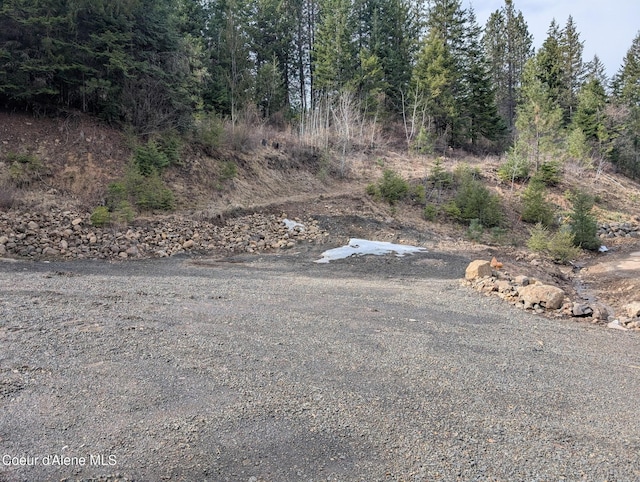 Flying Eagle, Harrison, ID 83833
