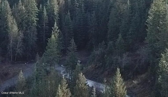 Flying Eagle, Harrison, ID 83833