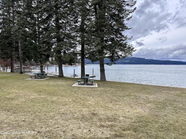 Flying Eagle, Harrison, ID 83833
