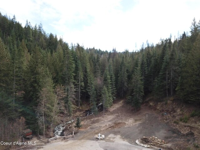 Flying Eagle, Harrison, ID 83833