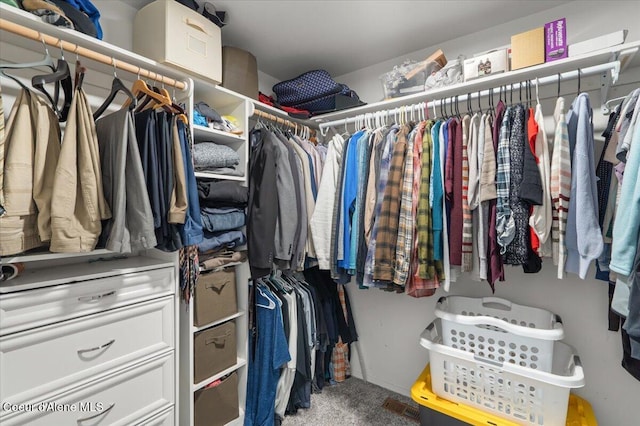 spacious closet featuring carpet flooring