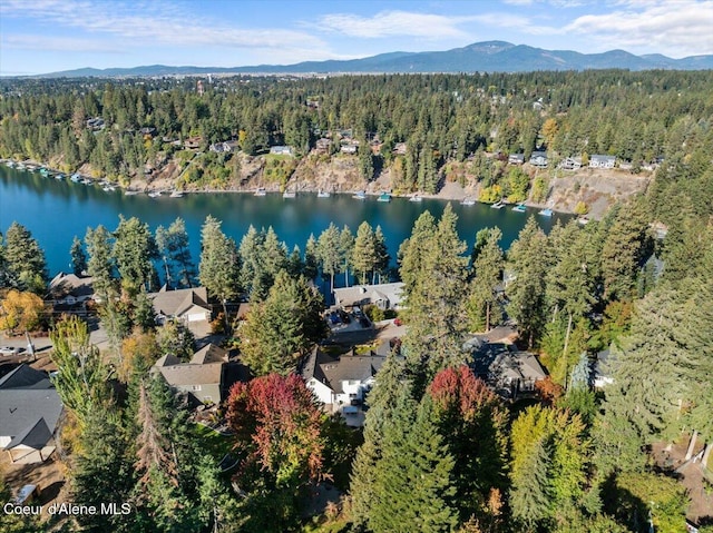 birds eye view of property featuring a view of trees and a water and mountain view