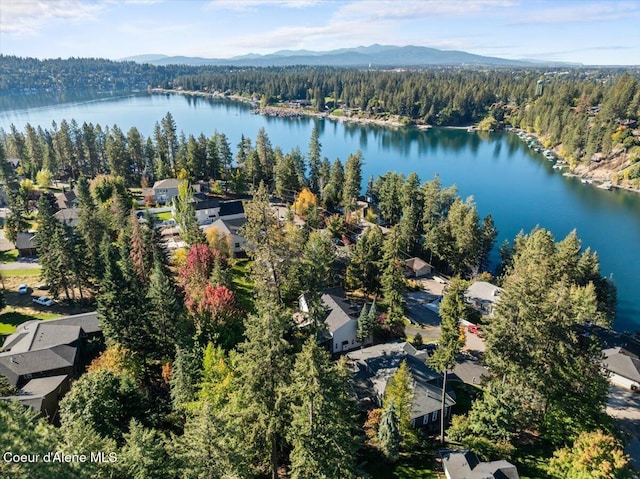 drone / aerial view with a view of trees and a water and mountain view